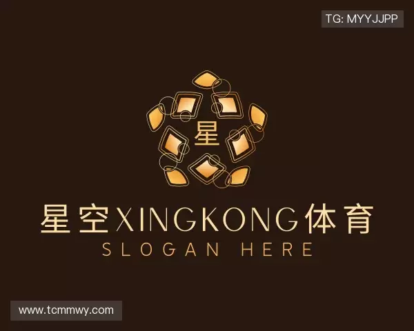了解xingkong.com